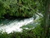 Okere Falls

Trip: New Zealand
Entry: Hamilton and the Coromandel
Date Taken: 02 Mar/03
Country: New Zealand
Viewed: 917 times